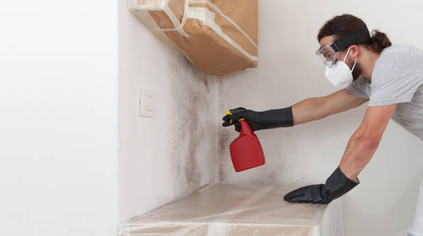 Professional Attic Mold Remediation technician working in Lewistown, IL