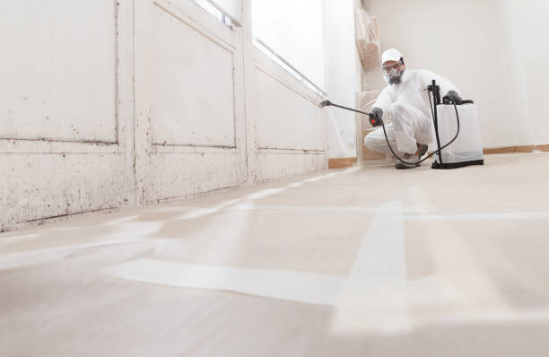24/7 Emergency Attic Mold Remediation experts in Lewistown, IL