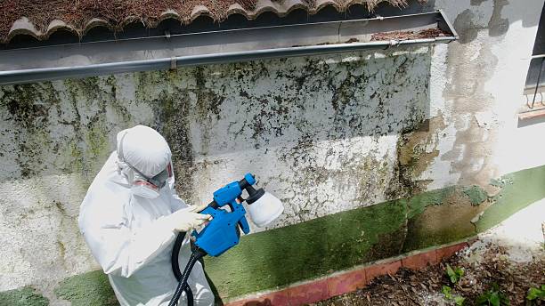 Top rated local Attic Mold Remediation specialists in Lewistown, IL